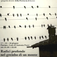 Intervista a Elisabetta Vergani                                 / di Tiziana Altea