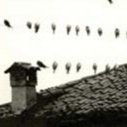 Antonia Pozzi fotografa