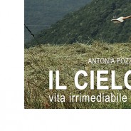 Intervista a Sabrina Bonaiti e Marco Ongania / di Tiziana Altea