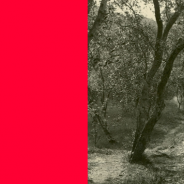 13/2, Antonia: buon compleanno!