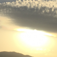 Come polpa di frutto, Antonia