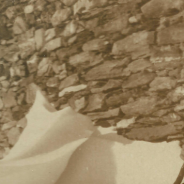 La rivoluzione dell’anima?